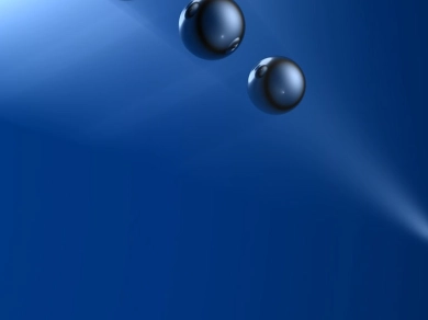 Gallery 2 image 2
